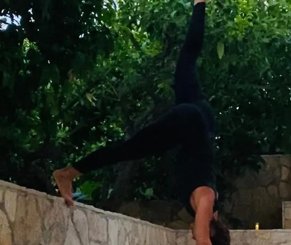 Гостевой дом Dvoshko