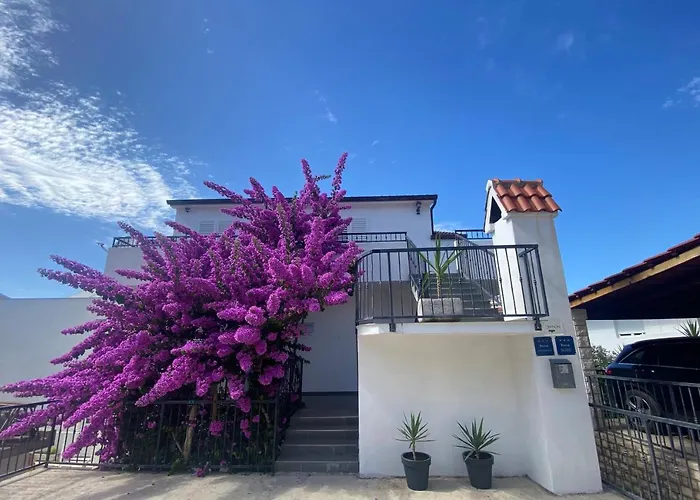 Dvoshko 招待所 3*