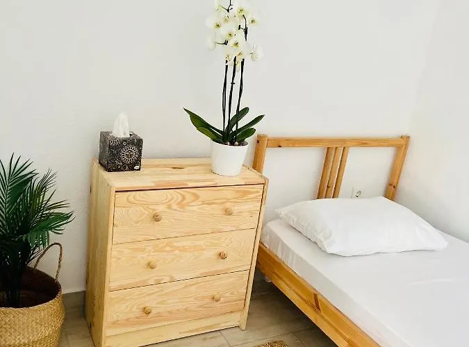 Dvoshko 招待所 3*